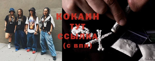 молекула духа Протвино