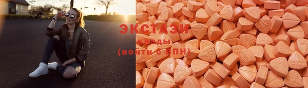 ECSTASY Алзамай