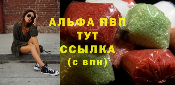 ECSTASY Алзамай
