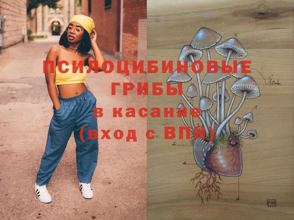 ECSTASY Алзамай
