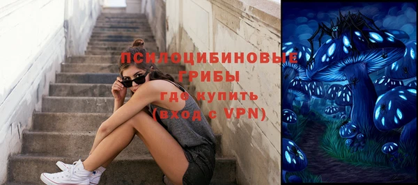 ECSTASY Алзамай