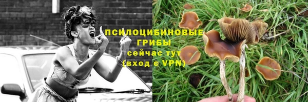 дурь Алексин